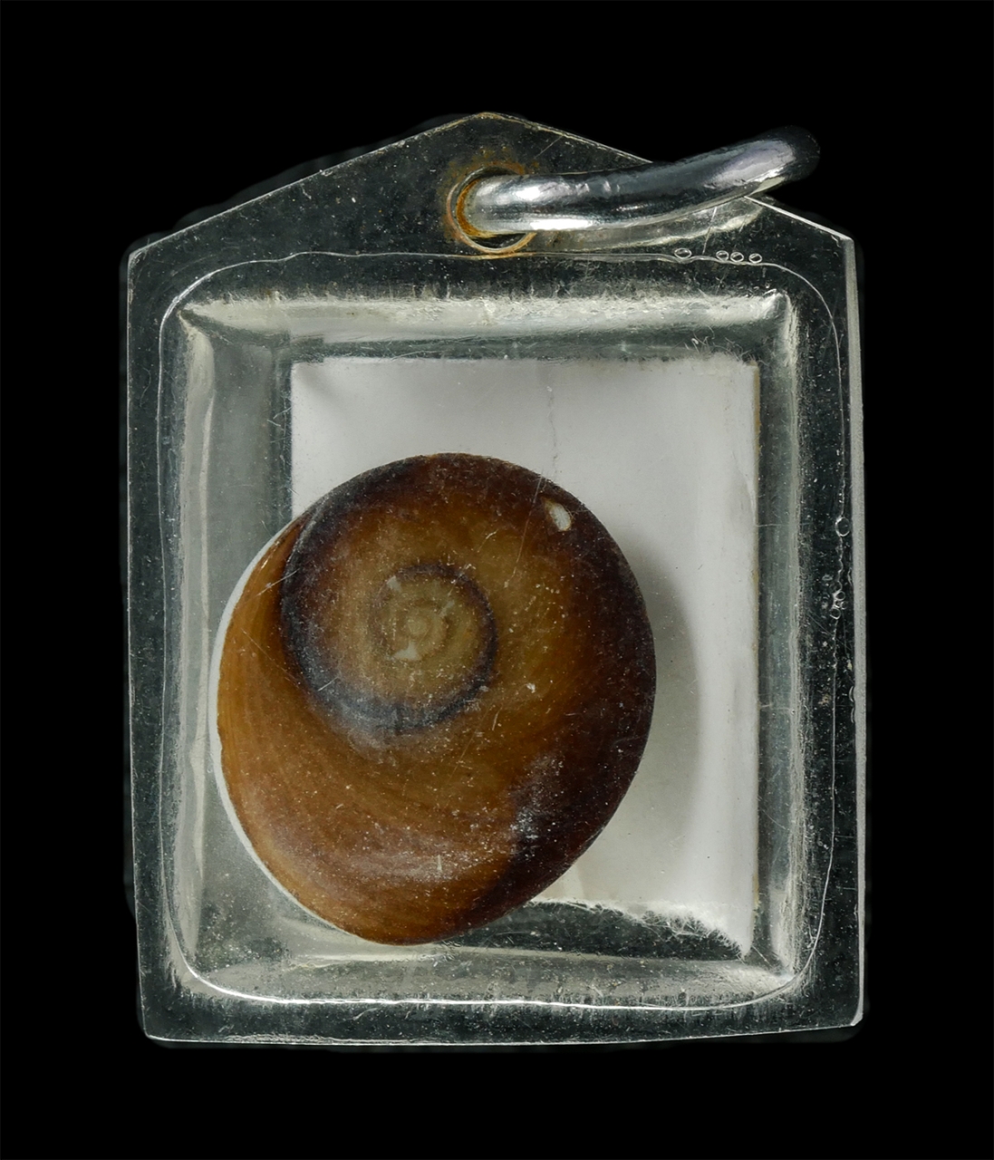 2569-01-21 (225)p.jpg - ล็อกเก็ตหลังเบี้ยแก้ หลวงปู่วรพรตวิธาน (พันธ์ ติสฺโส) วัดจุมพล อ.แวงน้อย จ.ขอนแก่น พระอริยสงฆ์ 5 แผ่นดินอายุ 101ปี (เหยียบรถกระดก) หลังเบี้ยแก้ พระสวย [..] | https://kamulet.in.th